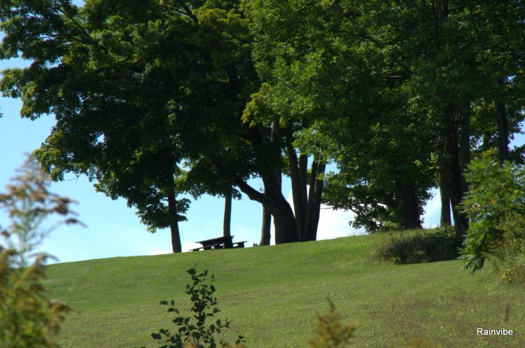 Fonds d'cran Nature Arbres - Forts Lac de L'argile