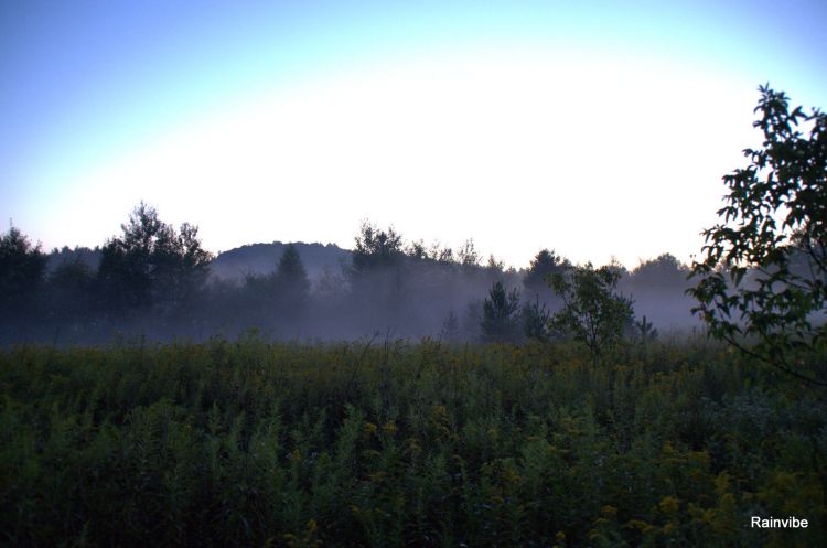 Fonds d'cran Nature Couchers et levers de Soleil Brume  Saint-Andr Avelin 