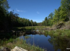  Nature Lac de L'argile