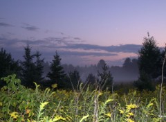  Nature Brume  Saint-Andr Avelin 