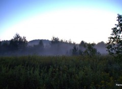  Nature Brume  Saint-Andr Avelin 