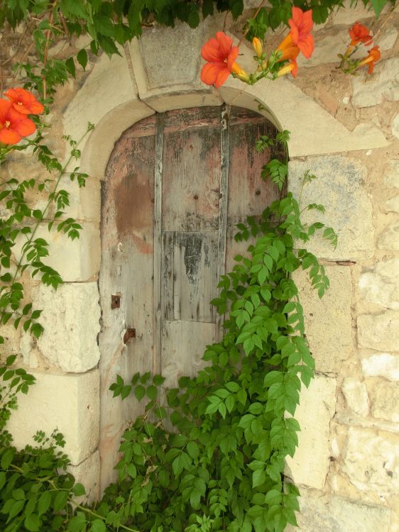 Fonds d'cran Constructions et architecture Portes - Fentres - Porches porte oubliee