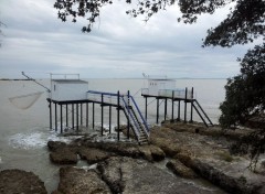  Nature cabanes de peche au carrelet