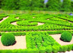 Fonds d'cran Nature parc et jardins du château de hautefort (dordogne)