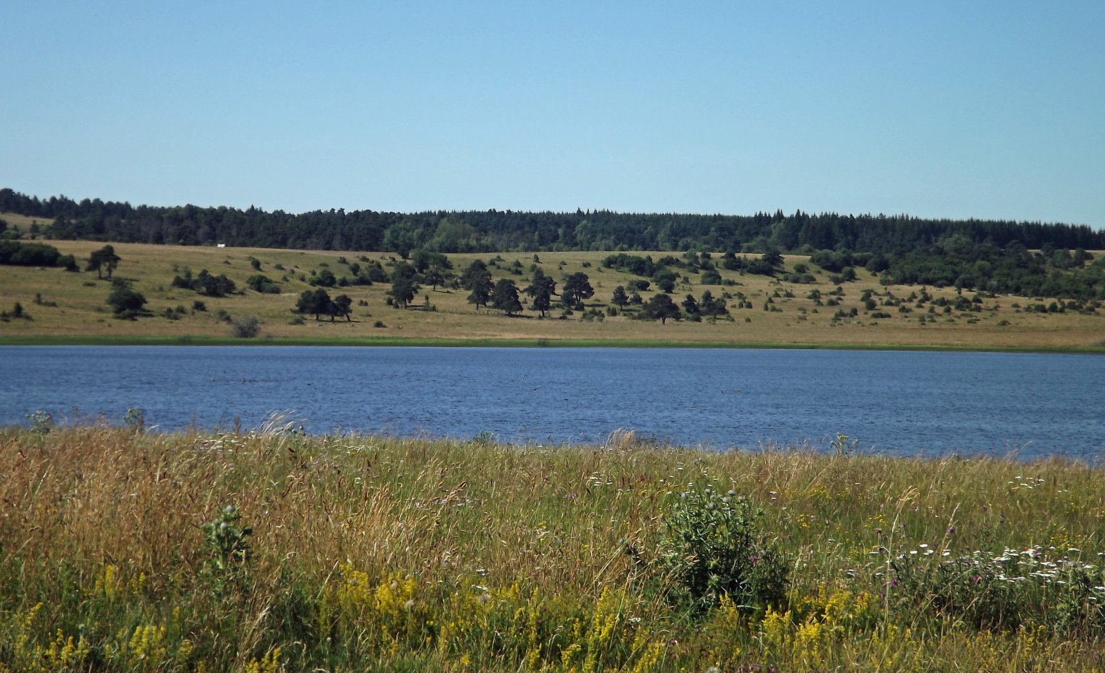 Fonds d'cran Nature Lacs - Etangs lac du pêcher (cantal)