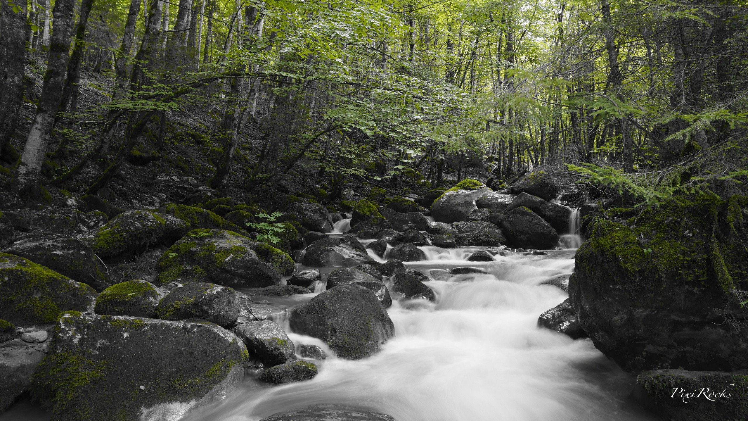 Wallpapers Nature Rivers - Torrents Green River