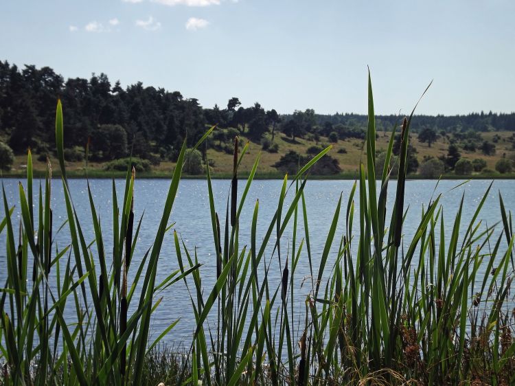 Fonds d'cran Nature Lacs - Etangs lac du pêcher (cantal)