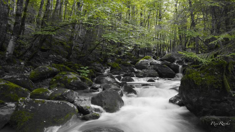 Wallpapers Nature Rivers - Torrents Green River