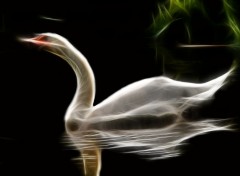  Digital Art Cygne