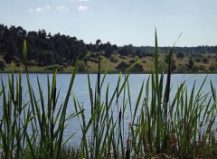  Nature lac du pêcher (cantal)