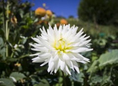  Art - Numrique Tour au jardin