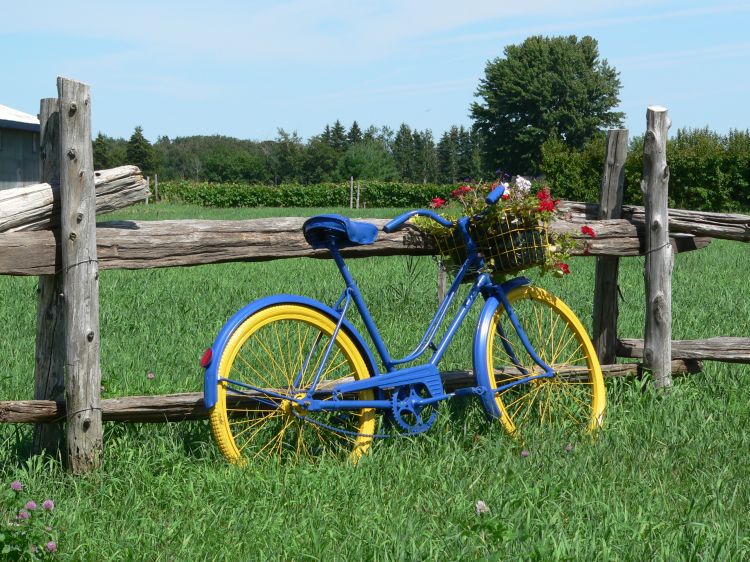 Fonds d'cran Transports divers Vlos Byciclette ancienne