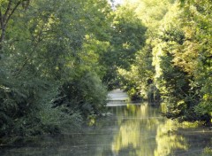  Nature Le Canal de Seclin (59)