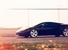  Cars Gallardo