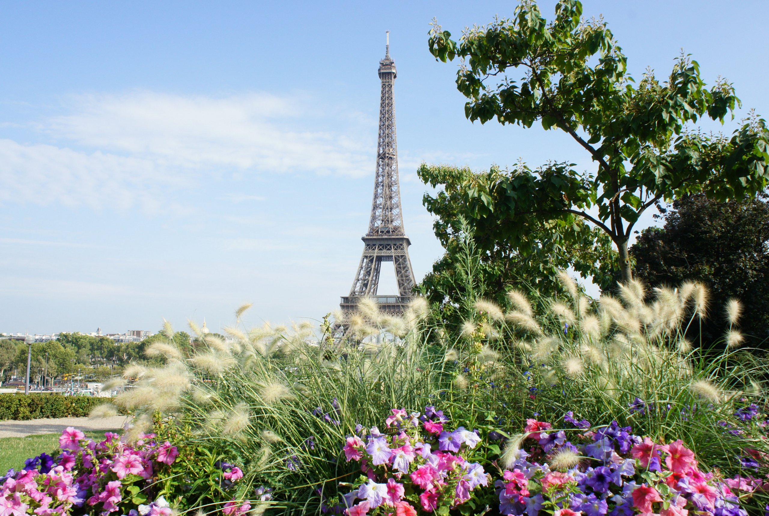 Fonds d'cran Constructions et architecture Statues - Monuments tour Effel  Paris  France 