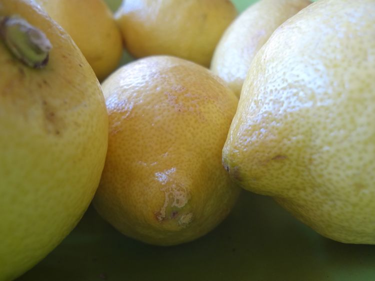 Wallpapers Nature Fruits Citrons jaunes