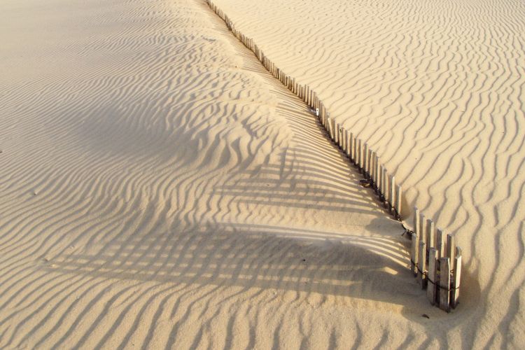 Fonds d'cran Nature Mers - Ocans - Plages la dune