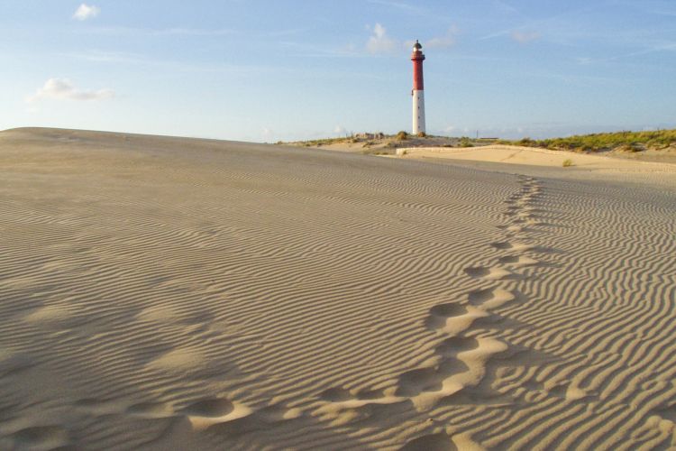 Wallpapers Nature Seas - Oceans - Beaches la dune