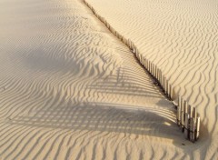  Nature la dune