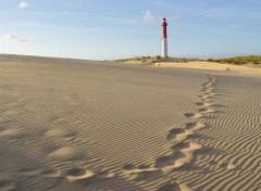  Nature la dune