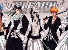  Manga Bleach