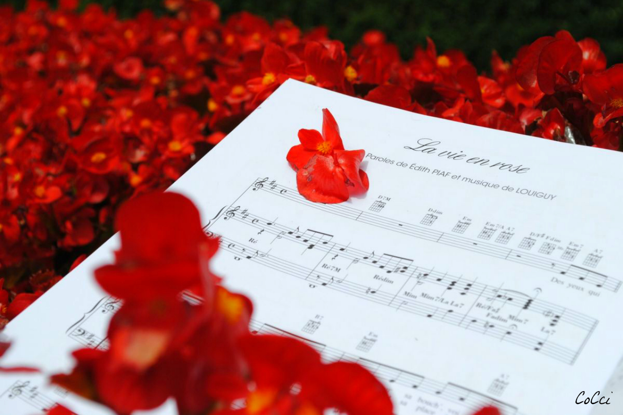 Wallpapers Objects Music La vie en rose