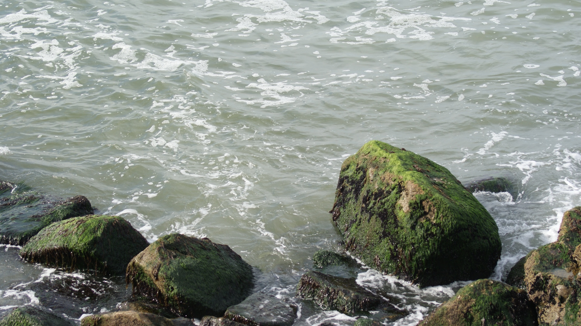 Fonds d'cran Nature Mers - Ocans - Plages 