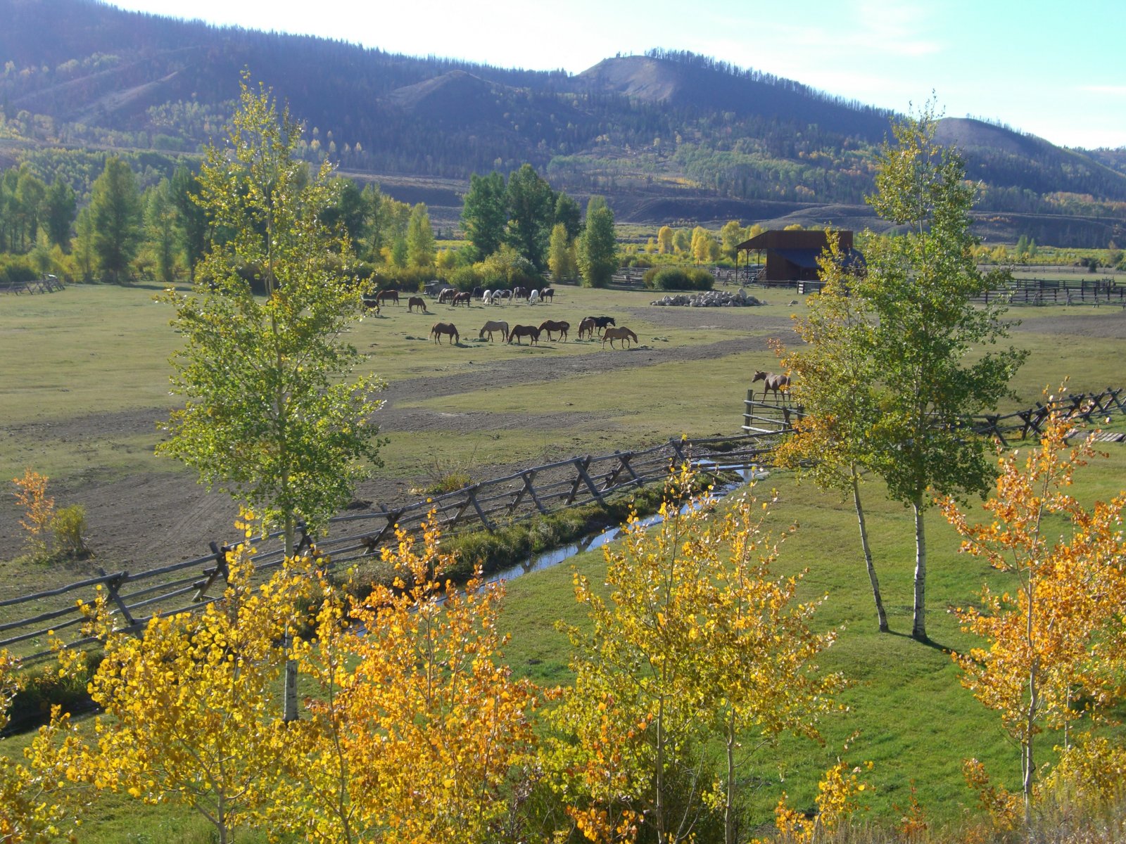 Fonds d'cran Voyages : Amrique du nord Etats-Unis Goosewing ranch [Wyoming]