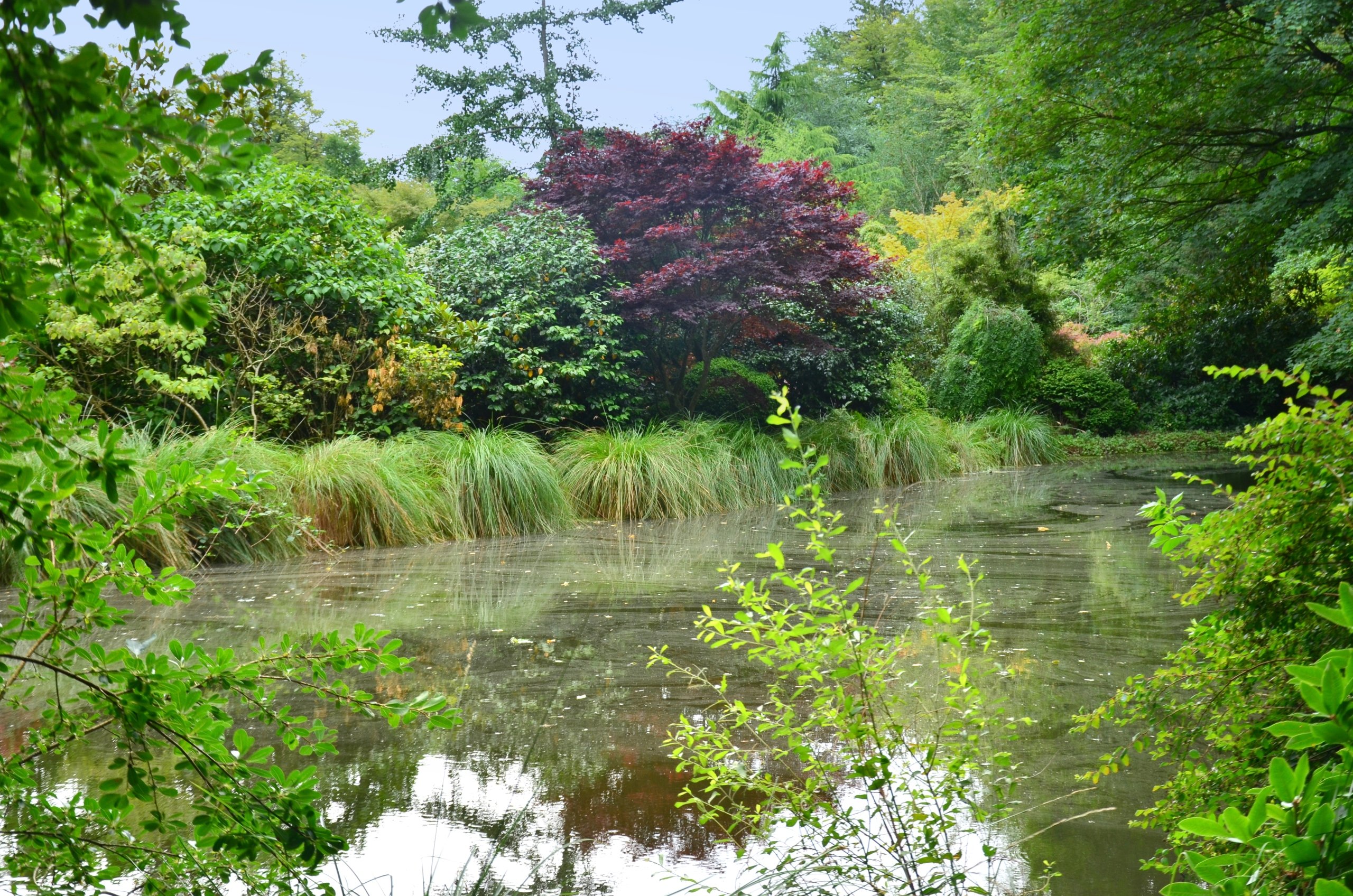 Wallpapers Nature Parks - Gardens parc botanique de haute bretagne 