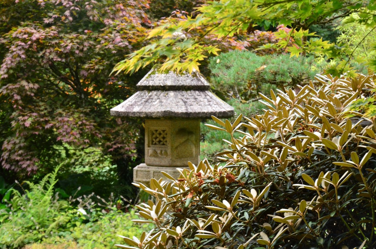 Wallpapers Nature Parks - Gardens parc botanique de haute bretagne 