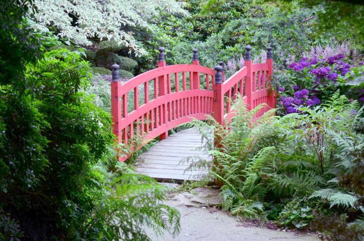 Wallpapers Nature Parks - Gardens parc botanique de haute bretagne 