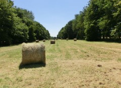  Nature moisson dans le calvados