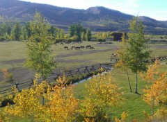  Trips : North America Goosewing ranch [Wyoming]