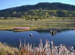  Trips : North America Goosewing ranch [Wyoming]