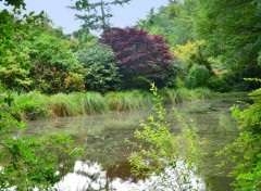 Fonds d'cran Nature parc botanique de haute bretagne 