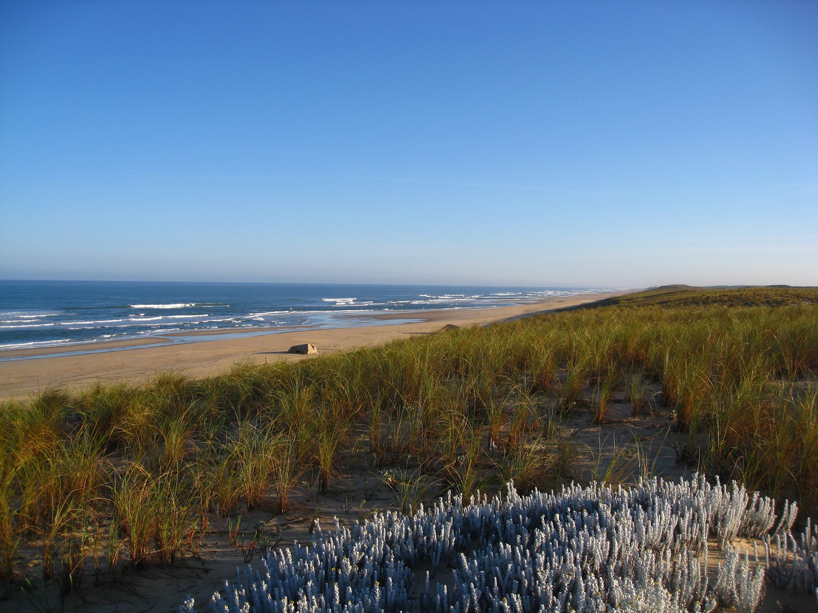 Fonds d'cran Nature Mers - Ocans - Plages 