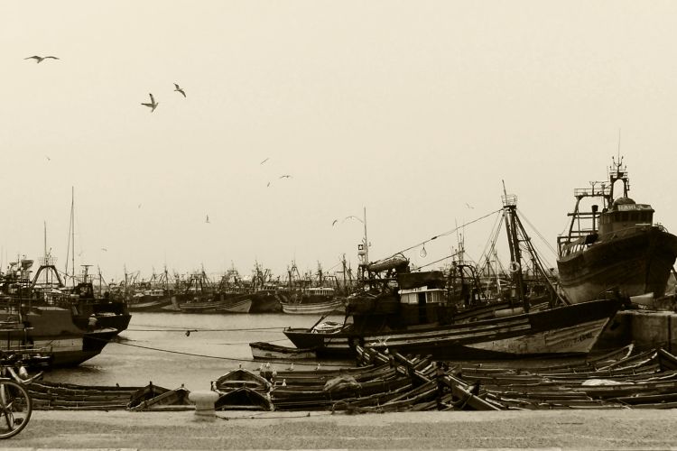 Fonds d'cran Constructions et architecture Ports - Quais Essaouira