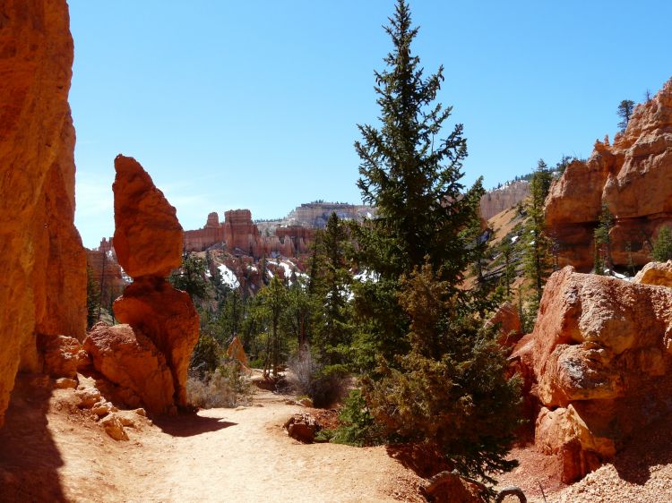 Wallpapers Nature Canyons Bryce Canyon [Utah]