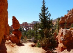  Nature Bryce Canyon [Utah]