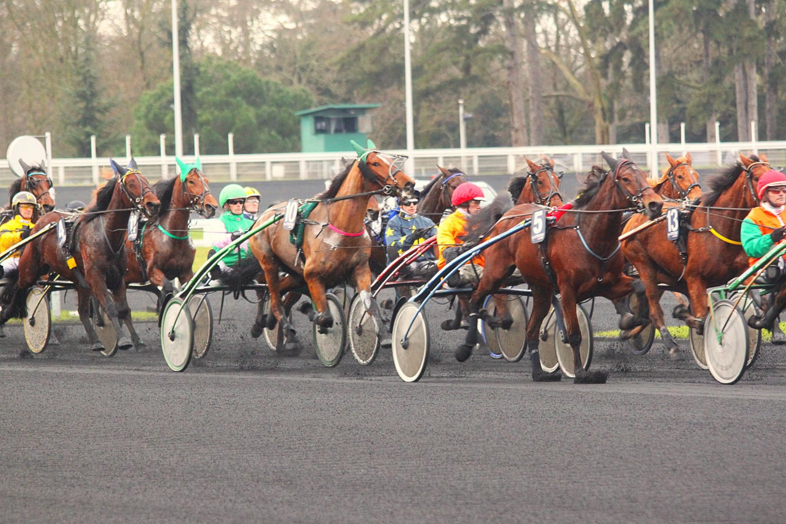 Wallpapers Sports - Leisures Horseriding courses