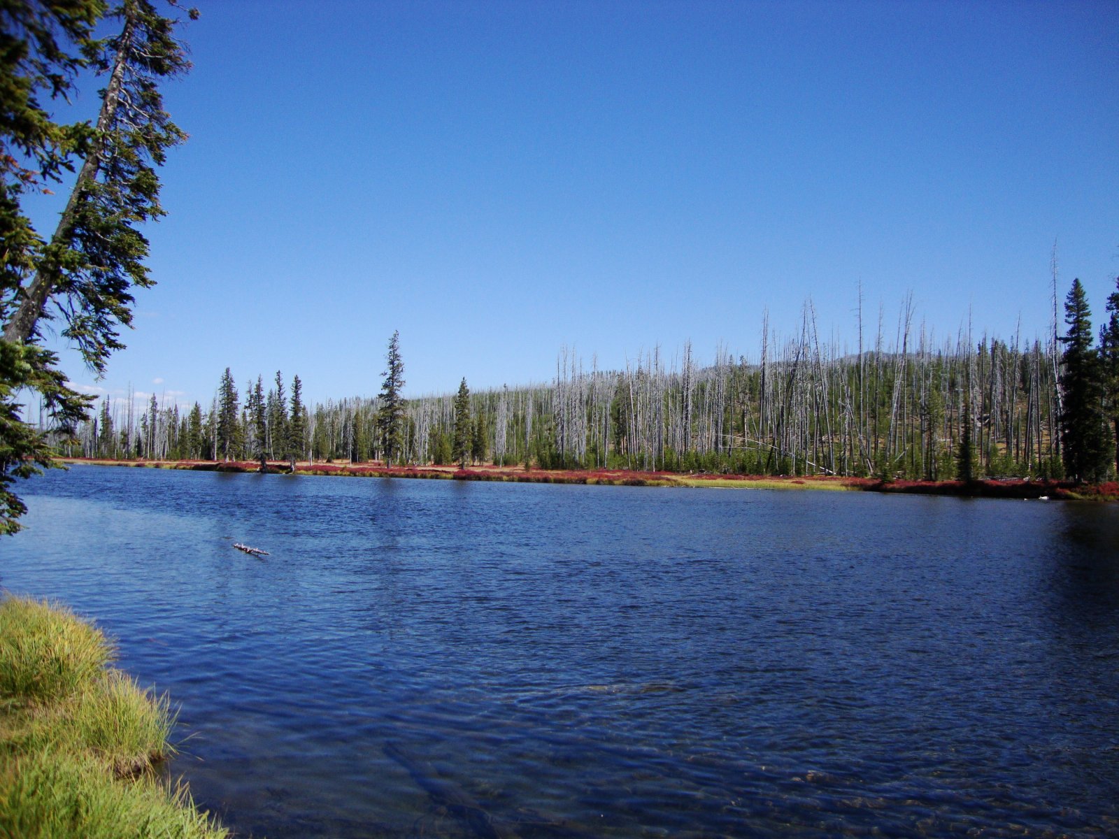 Fonds d'cran Nature Fleuves - Rivires - Torrents 