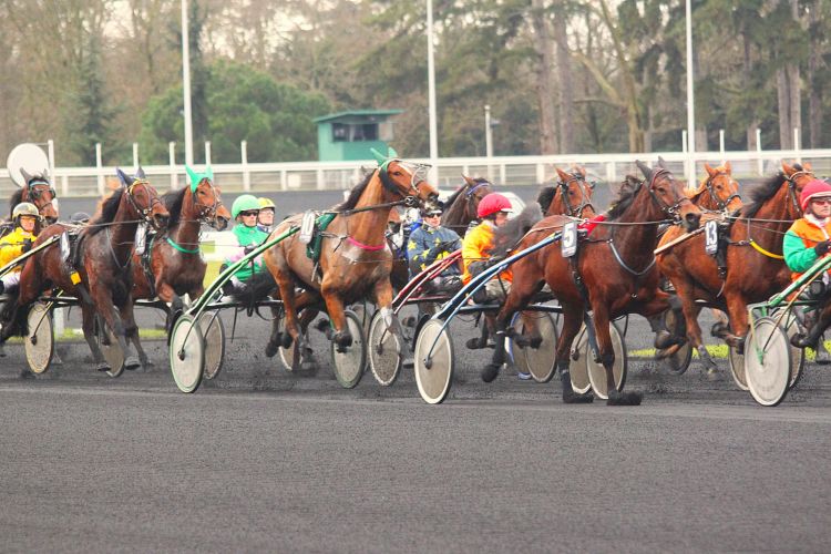 Fonds d'cran Sports - Loisirs Equitation courses