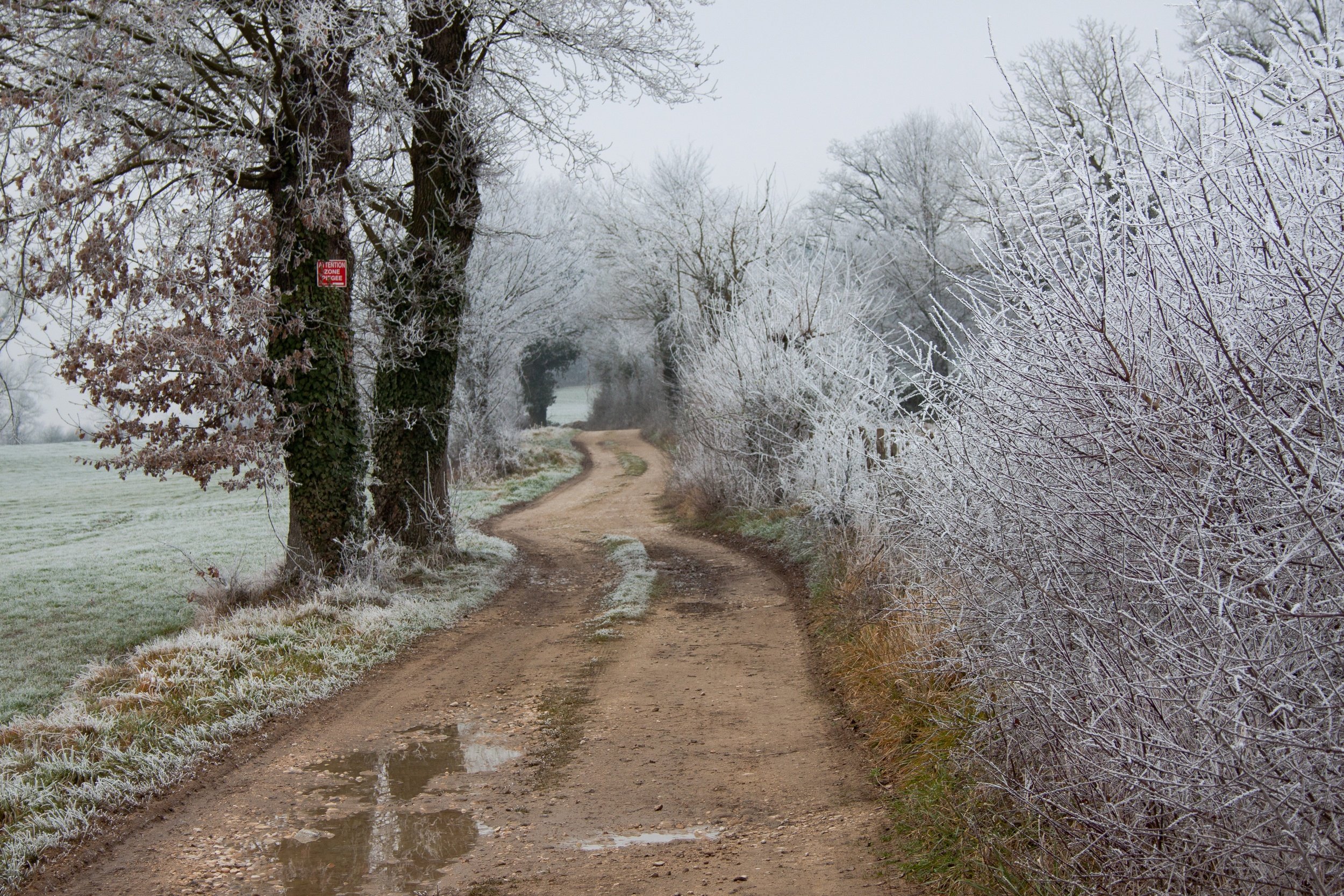 Fonds d'cran Nature Chemins givre, neige et pluie