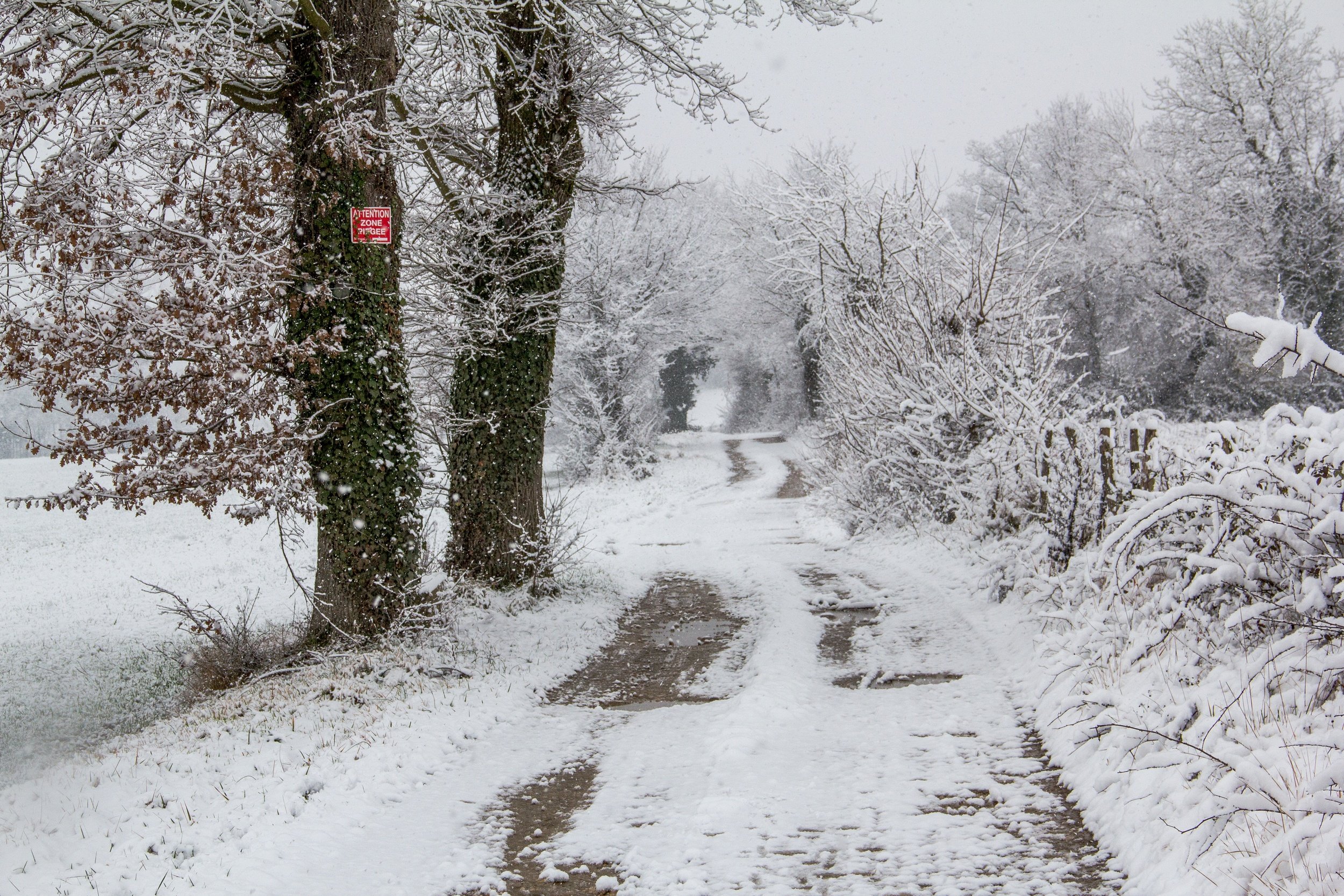 Fonds d'cran Nature Chemins givre, neige et pluie