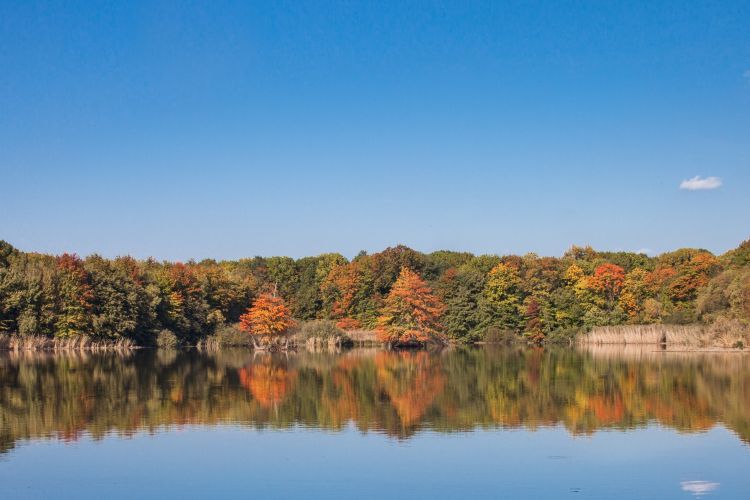 Fonds d'cran Nature Saisons - Automne la dombe en autonme