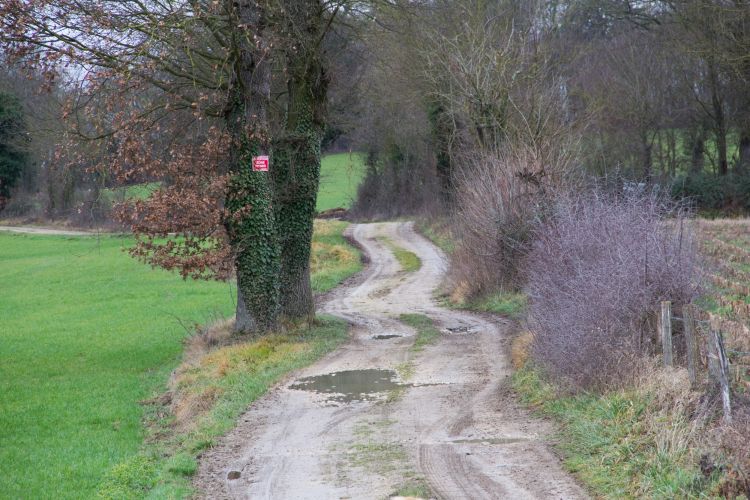 Fonds d'cran Nature Chemins givre, neige et pluie