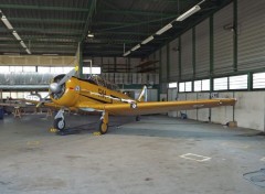  Planes T6