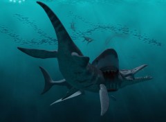  Digital Art Megalodon