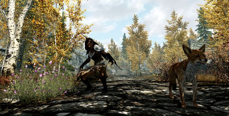 Fonds d'cran Jeux Vido The Elder Scrolls V: Skyrim La corneille et le renard