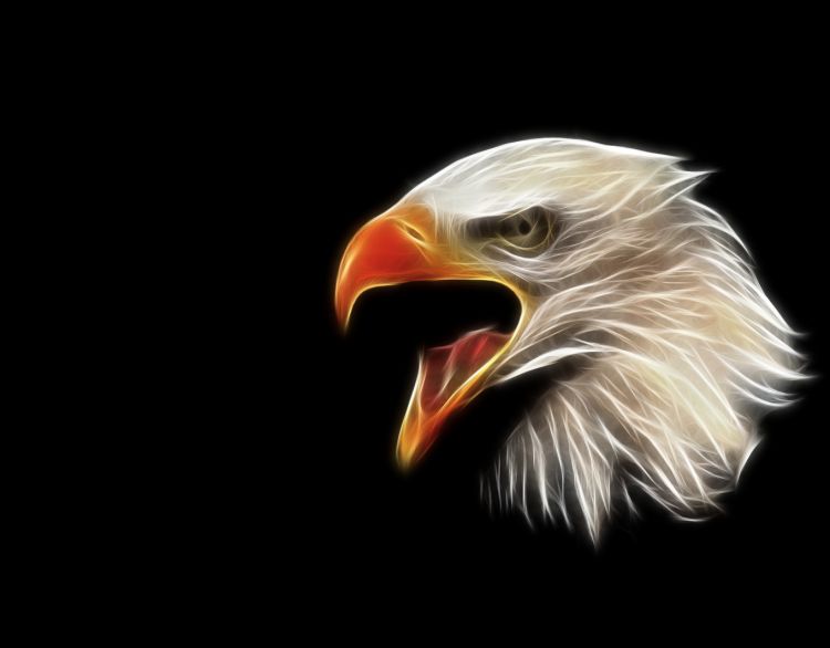 Wallpapers Animals Birds - Eagles fractal eagle